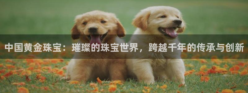 天宏娱乐丘v33300