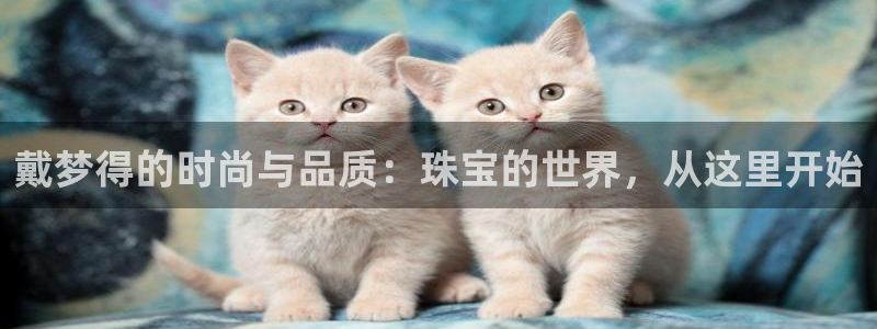 天宏娱乐天跃娱乐