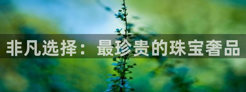 天宏娱乐直播间怎么进入