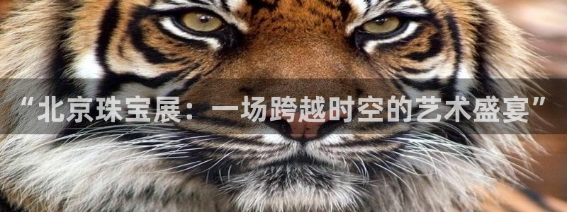 天宏娱乐董叔