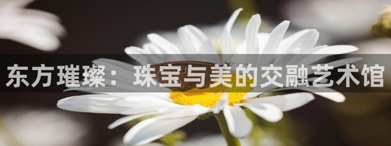 天宏娱乐公会