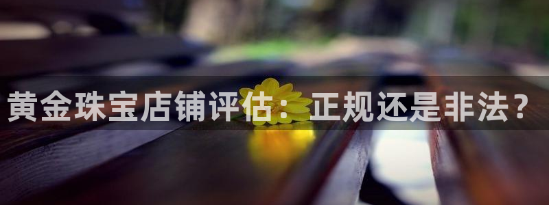天宏娱乐秦叔老婆