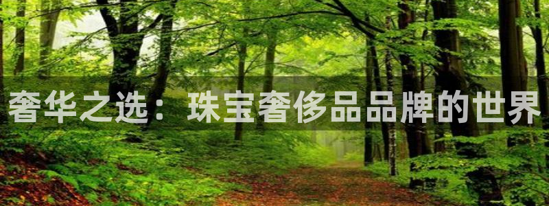 天亿娱乐宏发团队