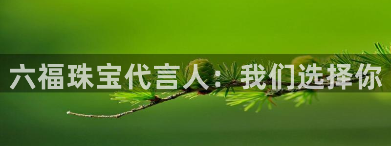 天宏娱乐传媒