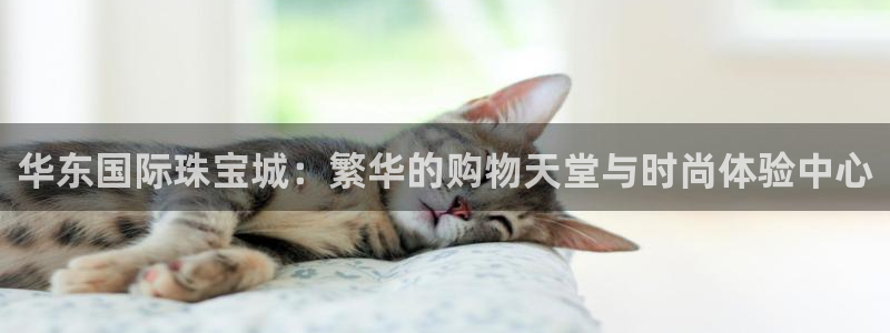 天宏娱乐老男孩团队