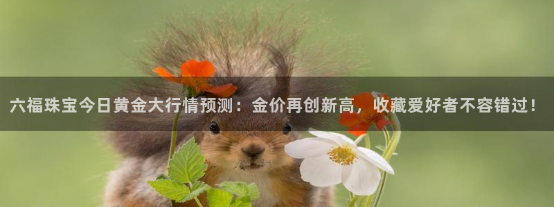 天玺娱乐彩票宏利团队