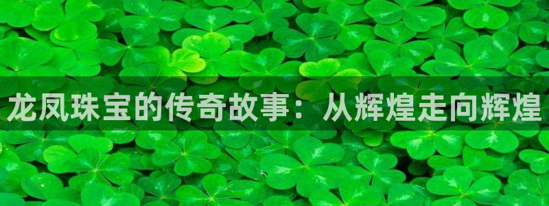 天宏娱乐直播间在哪