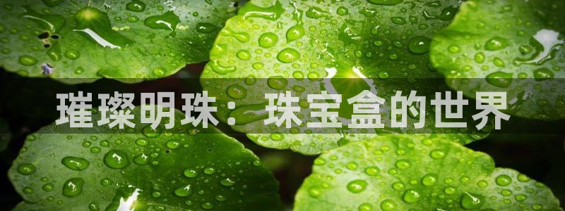 天宏娱乐会所地址查询