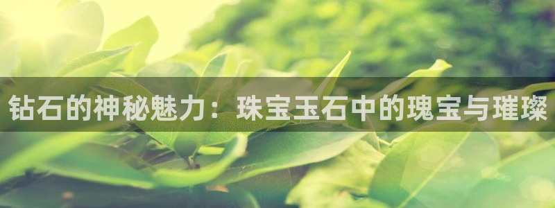 天宏娱乐招商部电话