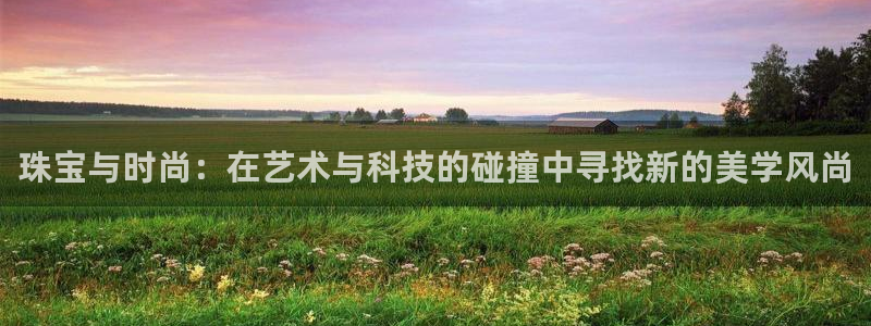 天宏娱乐朱俊伟