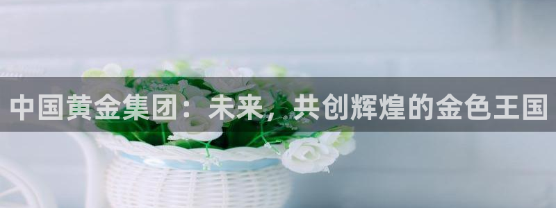 天宏娱乐正在直播