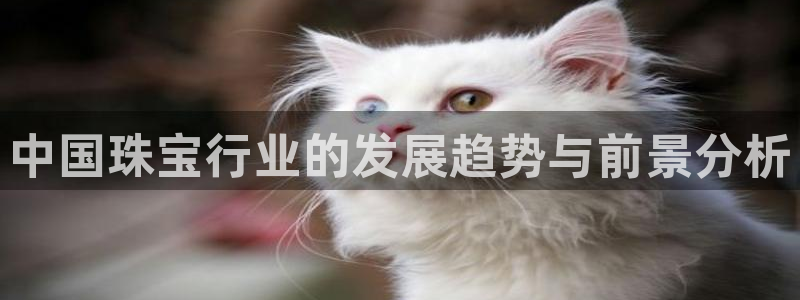 天宏娱乐 22376