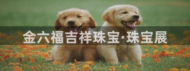 天宏娱乐可以提现吗