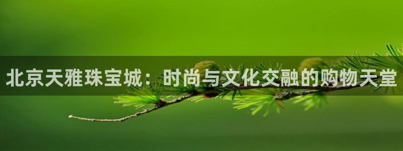 裕宏娱乐林天俊简介