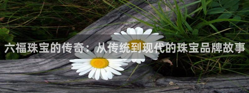 天宏娱乐福叔