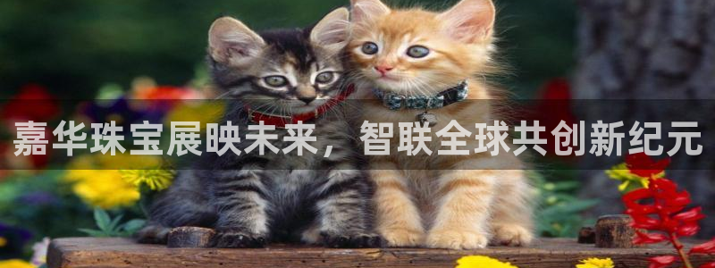 天宏娱乐app的下载