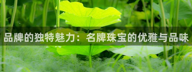 天宏娱乐指尖会