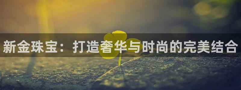 天宏娱乐魏叔：新金珠宝：打造奢华与时尚的完美结合