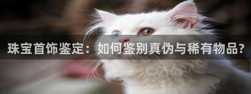 快手天宏娱乐是什么