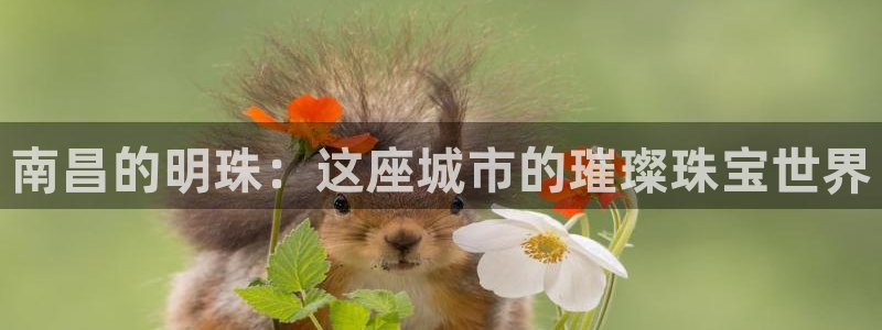 天宏娱乐是正规的吗