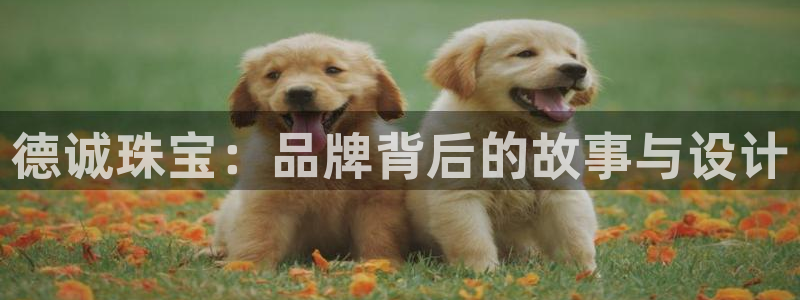 天宏娱乐2主管