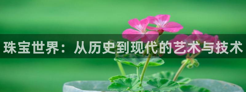 天宏娱乐宋善良