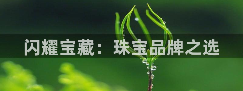 天宏娱乐为什么被骂