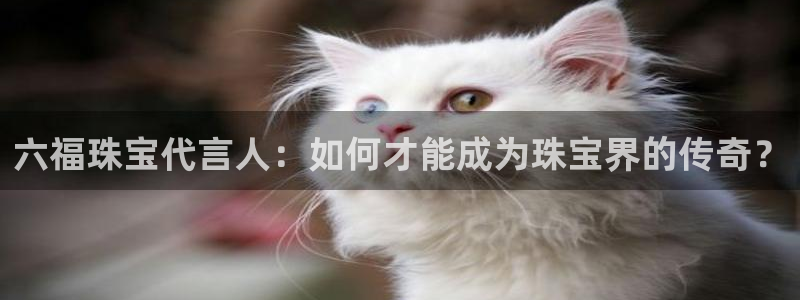 天宏2娱乐主管