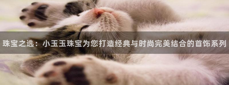 天宏娱乐豆豆：珠宝之选：小玉玉珠宝为您打造经典与时尚完美结合