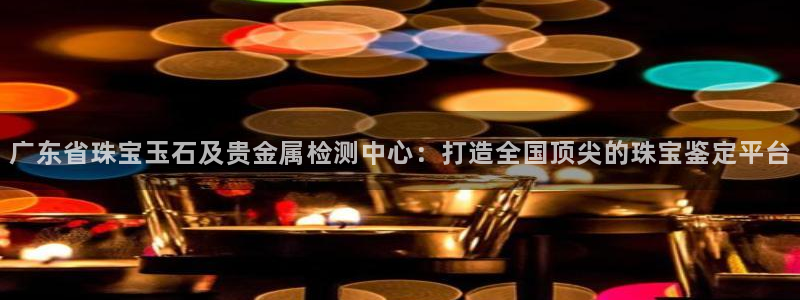 西安天宏娱乐团队