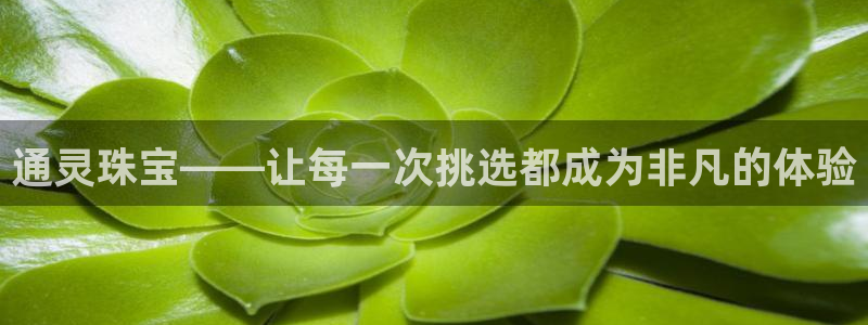 天宏娱乐河源店招聘信息