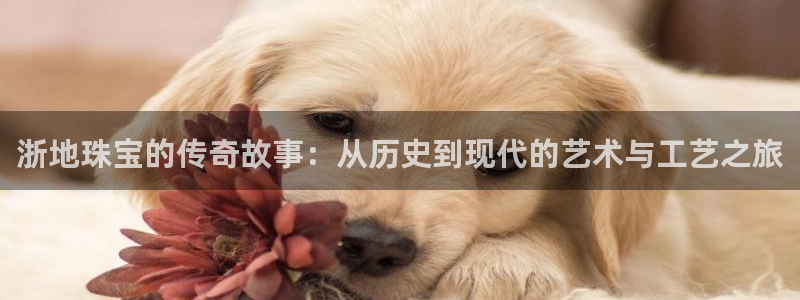 天宏娱乐王总