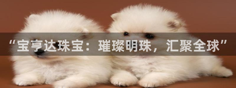 天宏娱乐直播团队名单