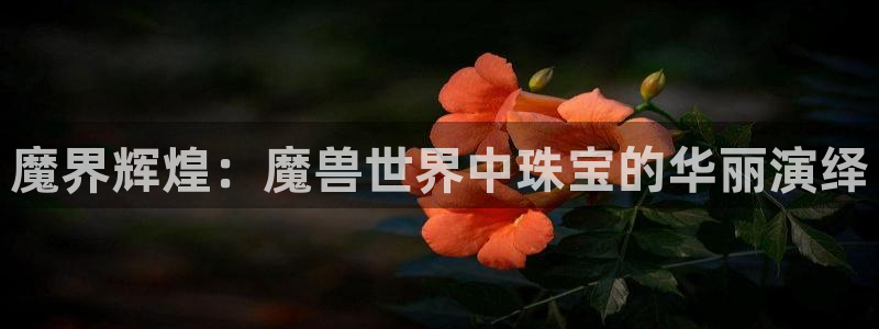 天宏娱乐徐叔：魔界辉煌：魔兽世界中珠宝的华丽演绎
