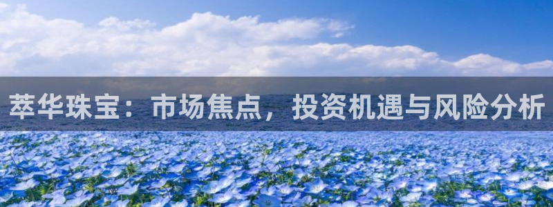 天宏娱乐怎么注册：萃华珠宝：市场焦点，投资机遇与风险分析