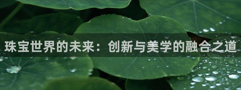 天宏娱乐梁善良