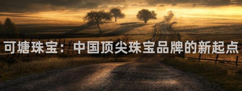 天宏娱乐王总
