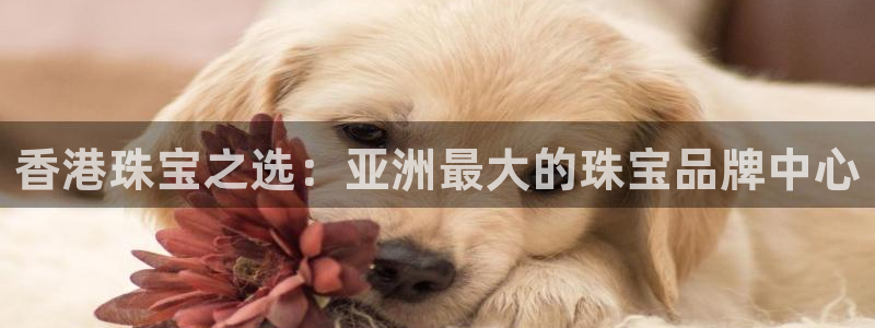 天宏娱乐在线播放