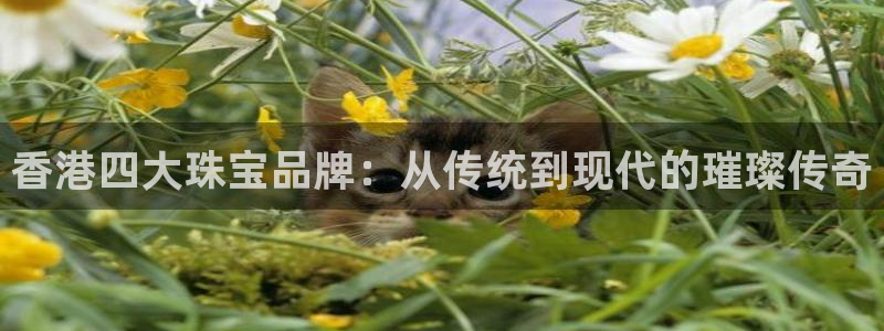 天宏娱乐大叔团队介绍图片：香港四大珠宝品牌：从传统到现代的璀