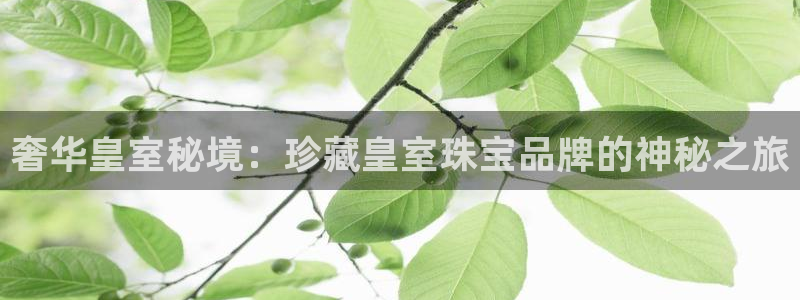 天宏娱乐倒闭了吗最近