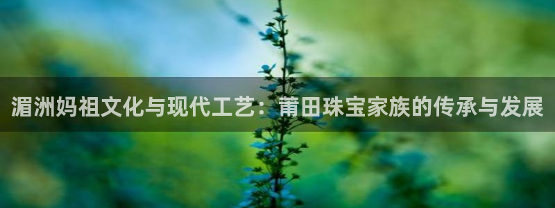 天宏娱乐陈叔