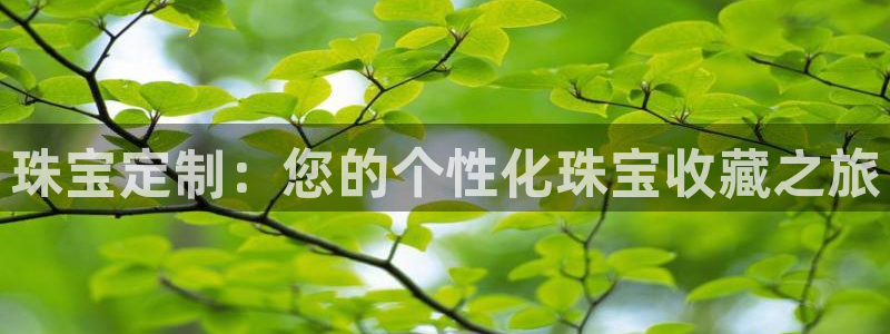 天宏 娱乐属于什么平台
