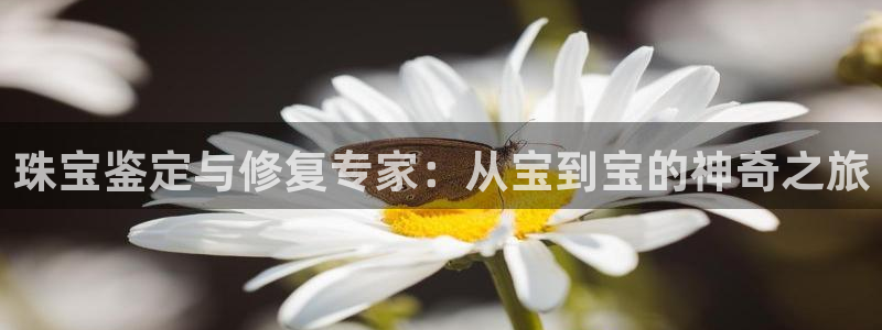 天宏娱乐平叔