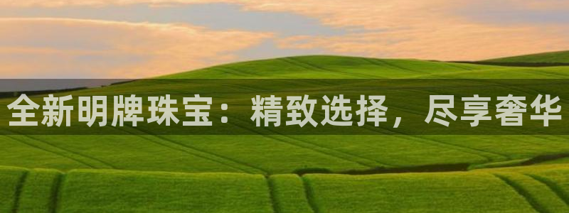天宏娱乐彬彬叔