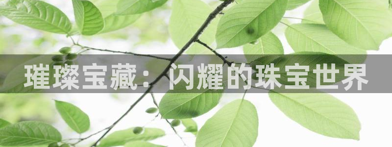 天宏娱乐是干嘛的公司：璀璨宝藏：闪耀的珠宝世界