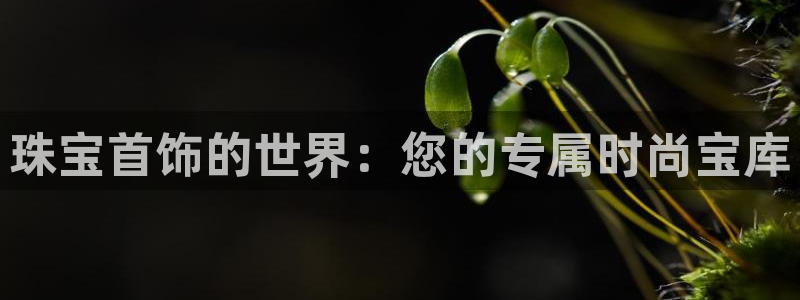 天宏娱乐何33300：珠宝首饰的世界：您的专属时尚宝库