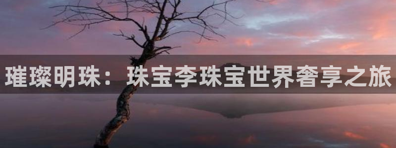 天宏娱乐董叔