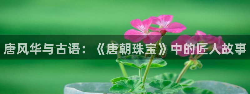 天宏娱乐丁叔