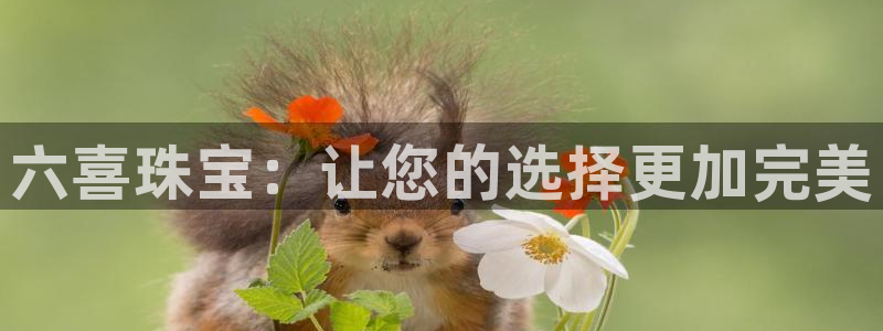 天宏娱乐关叔