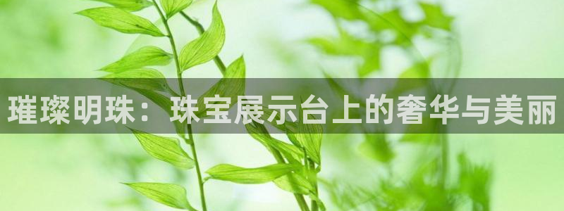 天宏娱乐主管：璀璨明珠：珠宝展示台上的奢华与美丽